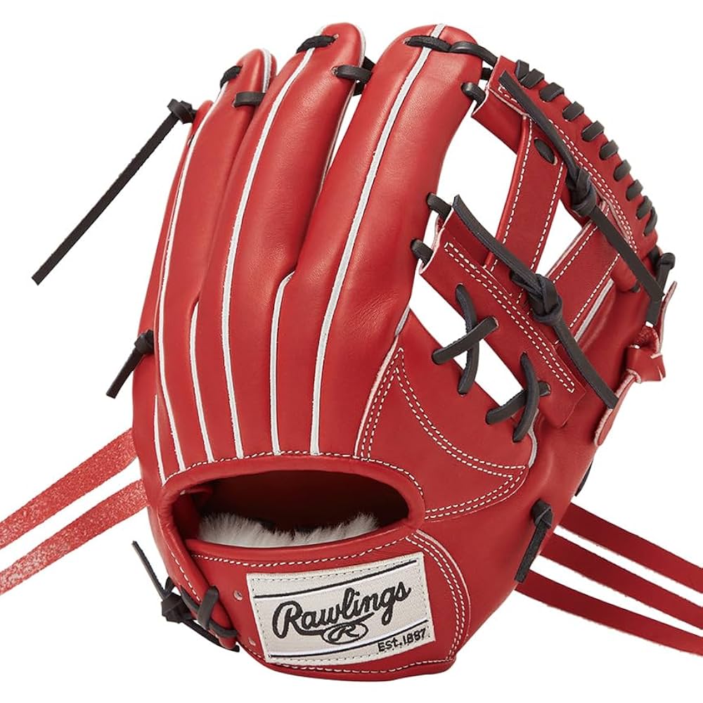 Rawlings 硬式グローブ ワイン Rawlings ローリングス(Rawlings) 一般硬式野球 PRO PREFERRED